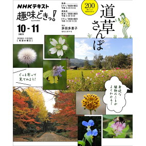 楽天市場 植物学 人気ランキング1位 売れ筋商品 楽天市場 植物学 人気ランキング1位 売れ筋商品